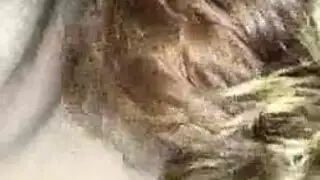 شاب أشقر يغري صديقه في جنس ثلاثي جامح