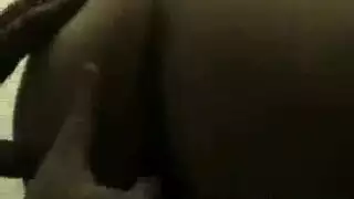 البحيرة والمحلة والشرقية وكفر حجازي