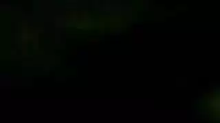 شنيكو