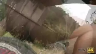 الأصل: هذا الحمار المشاغب يحتاج إلى اهتمامك