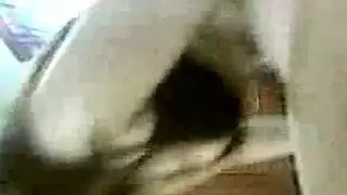 ممرضي تنيك مريضية مص ثدي