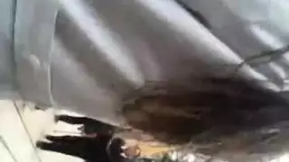 ينيج بخته هانامه