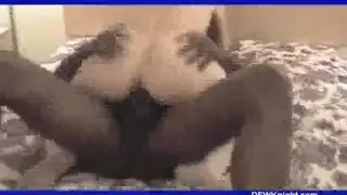 أفلام سكس للتحميل والتنزيل