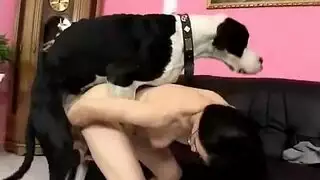 بورن bestiality صادم: رجل يمارس الجنس مع حيوان في مشهد xxx