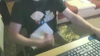 كرن كب