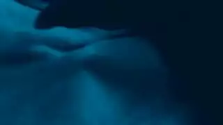 فرك كامل للجسم يؤدي إلى جنس شرجي قاسي