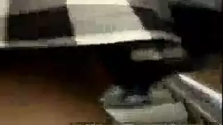 سمينات مؤخرات ترتعد