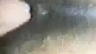 ترول