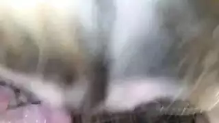 شريط تجربة أداء إباحي يظهر مايو بو وهي تحصل على قذف داخلي من رجلها للانضمام إلى طاقم التمثيل