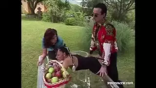 القرد المالي