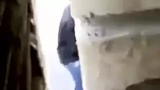 ثنائي شاب في فعل إباحي: مص وقوف كلب