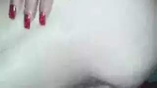 الأرجنتيني دراجة مثليه الديك الكبير