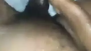 افانكا ترنب