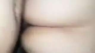 المقعد الخلفي لاتيني البشعة