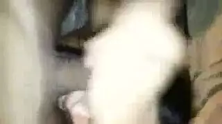 نائب الرئيس غرغرة أسود الشكوى