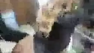 ضرب شرج طيز عاري بواسطة فحل عربي
