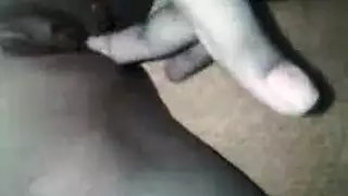 العام الذهبي ٢٠١٩: البورن في ذروته