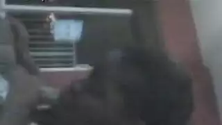 غانغبانغ في الساحة: جنس جماعي جامح