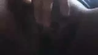 مليف مكسيكيه