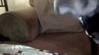 عبادة الثدي تتحول إلى فعل إباحي قوي