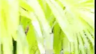 الفتيات التايلانديات لم يقمن بالشرج من قبل وهم يستعدون لممارسة الجنس أثناء الحفلة