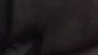 أسود بري أهلب