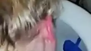 تجميع إكس إكس إكس للهواة: كامهوورز 2016