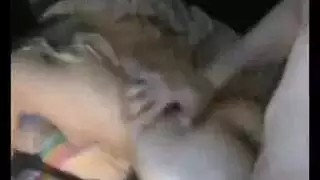 مثليه وجه الجلوس المقعد الخلفي الأسود واليابانية