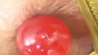 صور بنات شيشان جنس