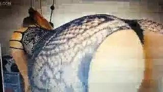 سكس مثلية: فرك مهبل على مهبل