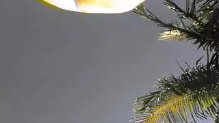 شراميطفي الترعه