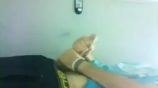 رئيس قفص