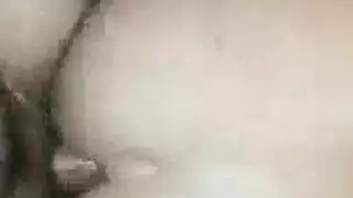 فابدينر