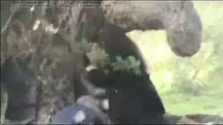 لحئ بنات لشباب