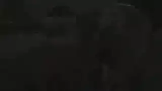 فتاة مغرية تأخذ قضيبًا كبيرًا