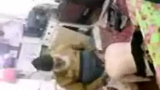 مصرى ينيك مراتة من ورا عرسان جديد