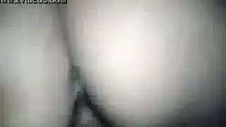 فوضى جنسية حيوانية هاردكور