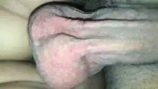 عالمي مترجم الاخ والاخت