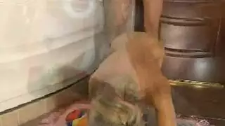 سيئة الجبهة أمي ومهبلها الشباب