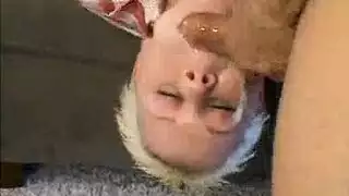 فيلم نيك طويل عنف