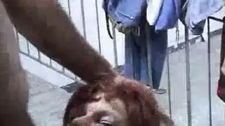 تقطيعه ديك إيبيزا وحشي