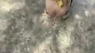 حركة شرجية وكس قاسية مع عاهرة سودانية