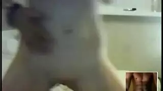 سكس بنات معي اسد