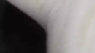 ساونا سويسري راعية البقر